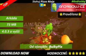 3- Pizza Ninja Story - Download