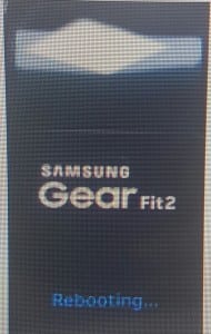 Samsung Gear Fit 2