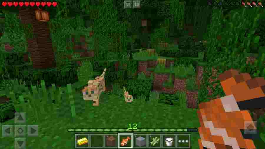 Minecraft Realms