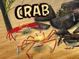 Crab simulator 3D