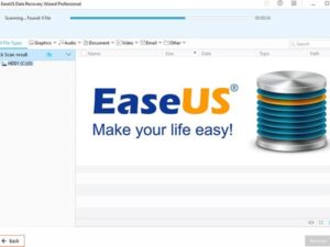 Easyus web