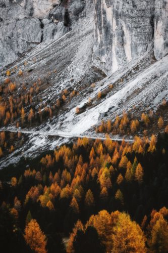 Tapeta na mobil - podzim v horách