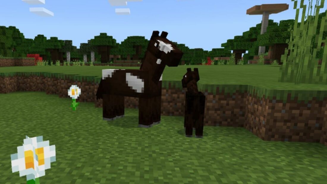Jak chovat a používat koně v Minecraftu