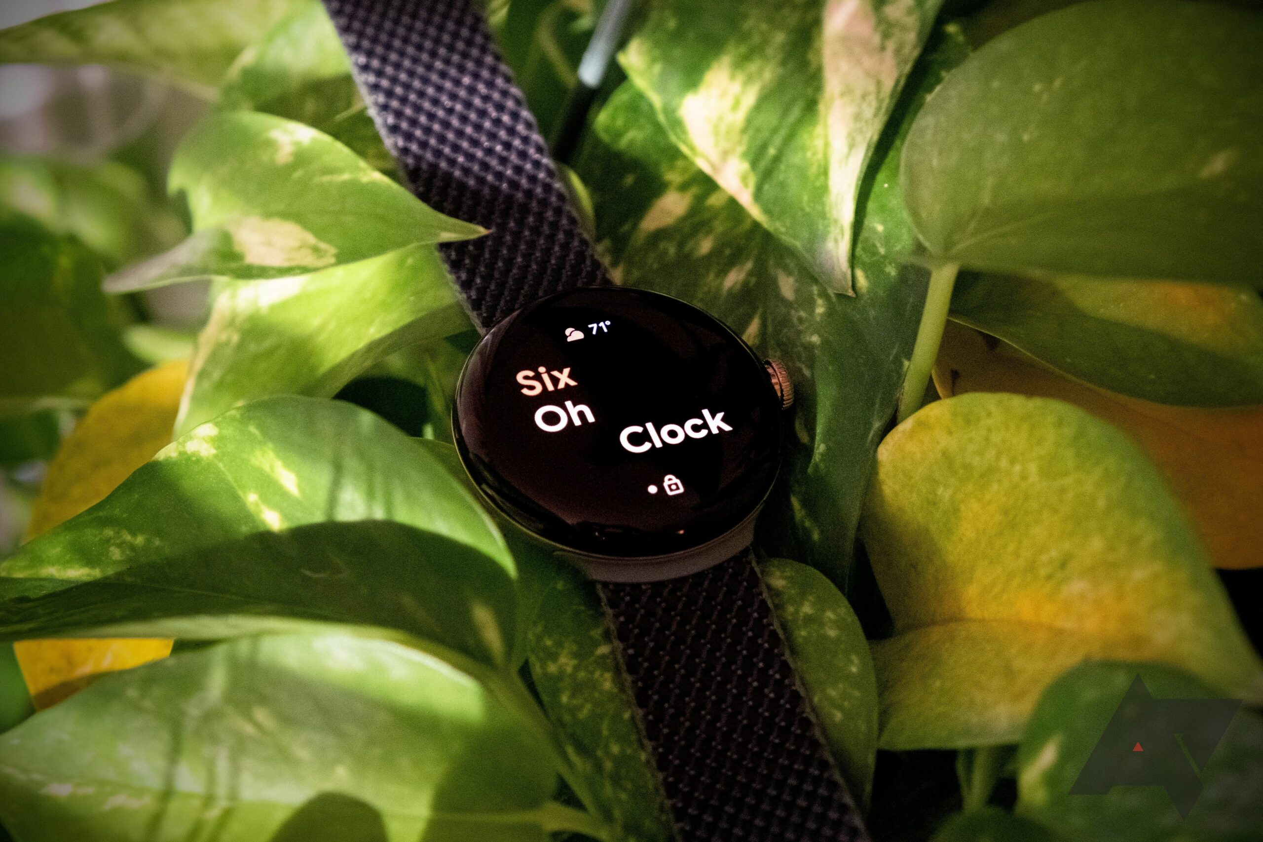 Nejlepší slevy na chytré hodinky Wear OS pro Cyber Monday