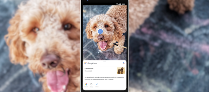 "Google nahradil reverzní vyhledávání obrázků službou Google Lens"