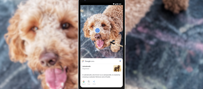 5 jednoduchých způsobů, jak používat vizuální vyhledávací nástroj Google Lens