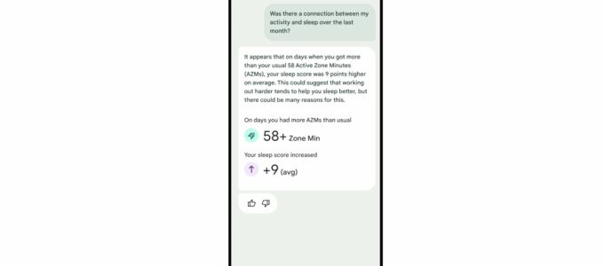 Fitbit Labs brzy i pro prémiové uživatele, potvrdil Google