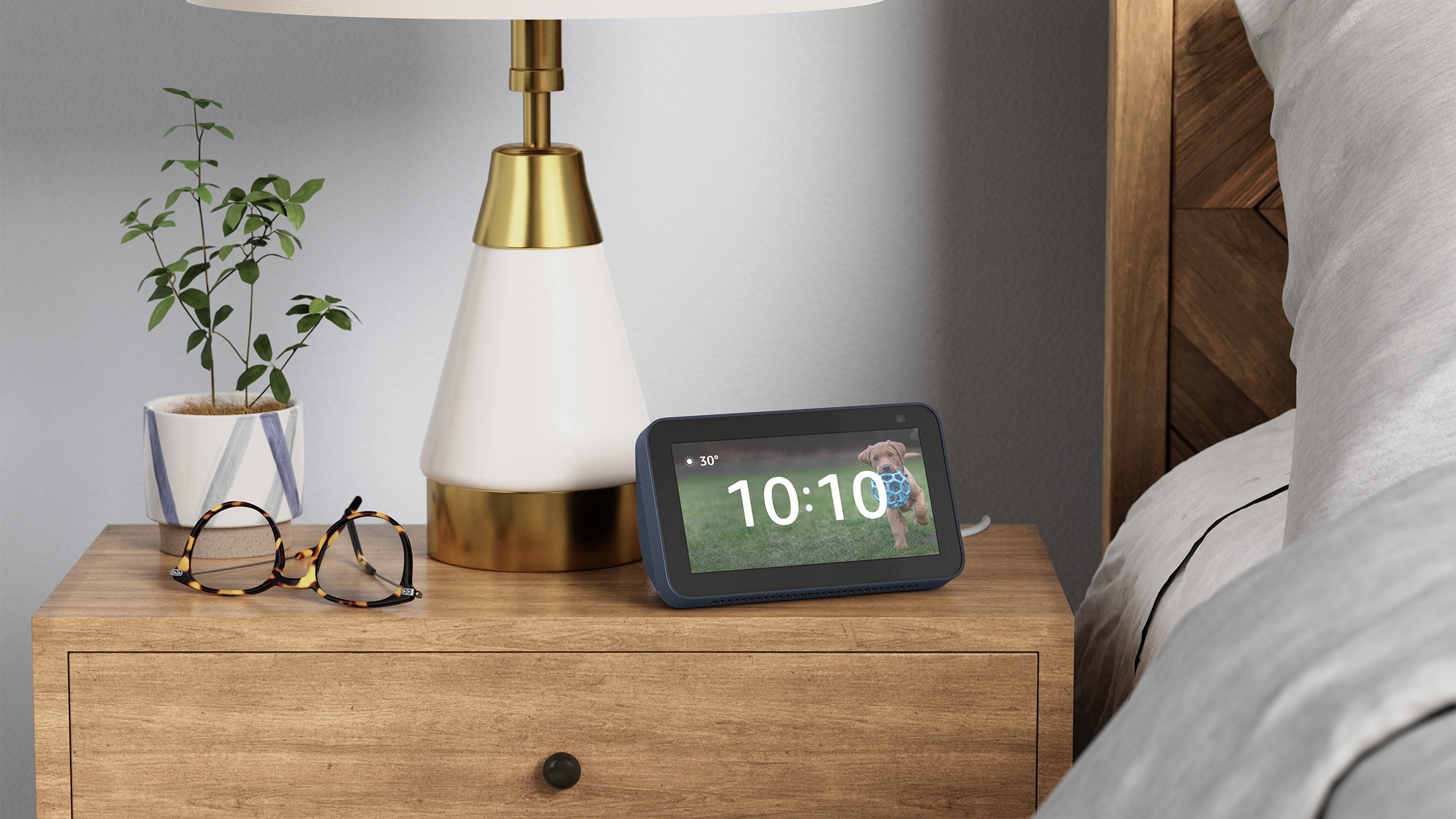 Amazon napodobuje špatnou firmu s plánovaným předplatným Alexa