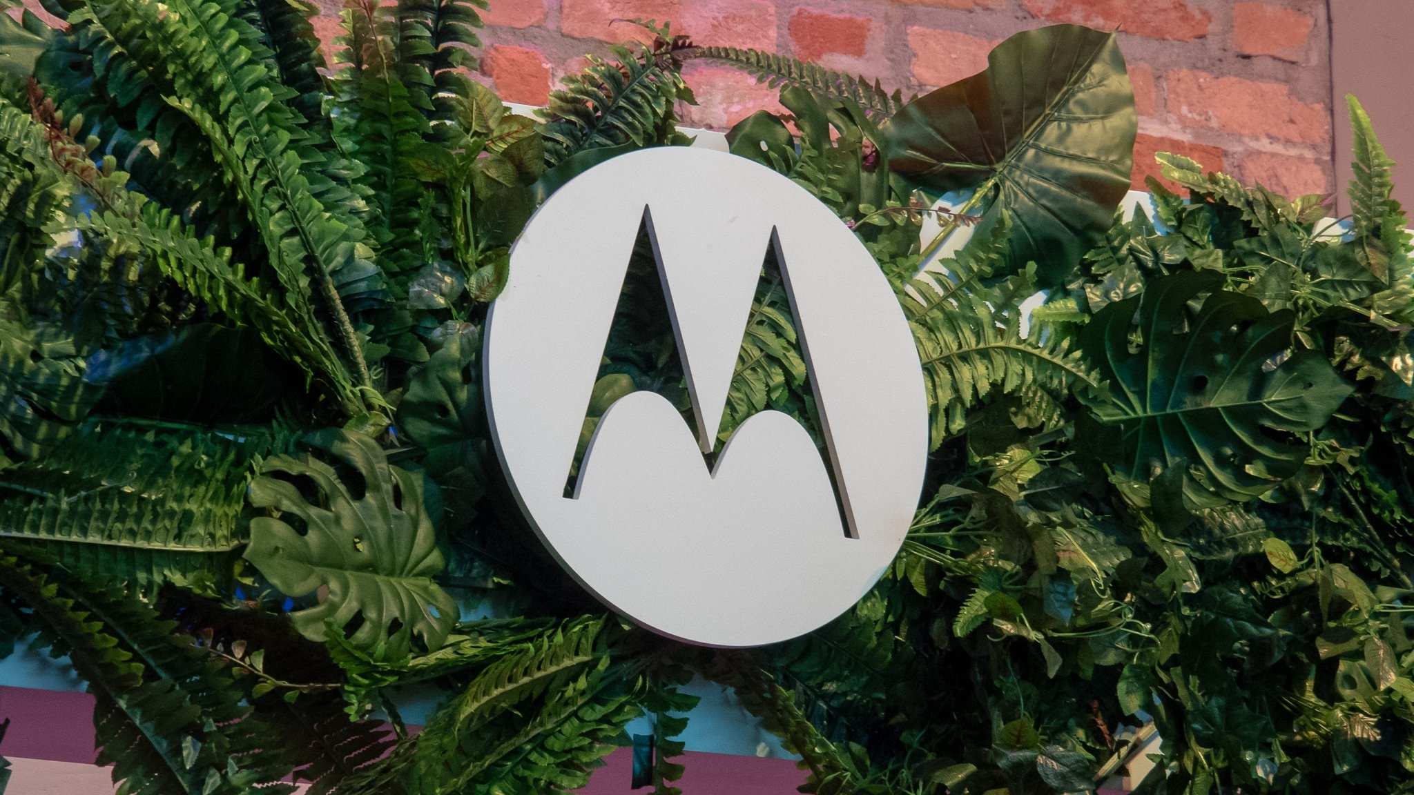 Motorola láká na Edge 50 Neo před blížícím se uvedením na trh