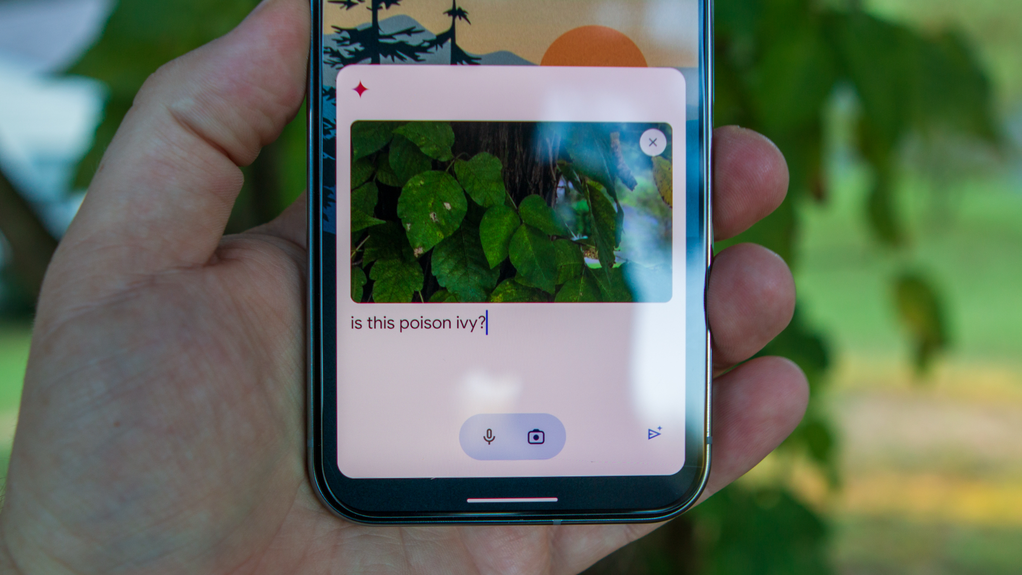Gemini: Nový AI editor pro úpravu vašich fotek přímo v aplikaci