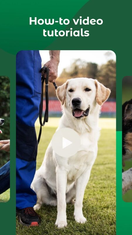 Mobilní aplikace Dogo — Puppy and Dog Training