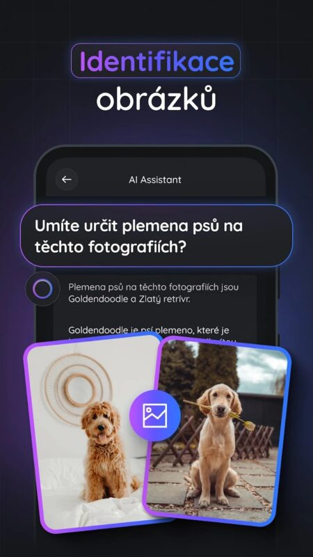 Aplikace na mobil Gemmy AI