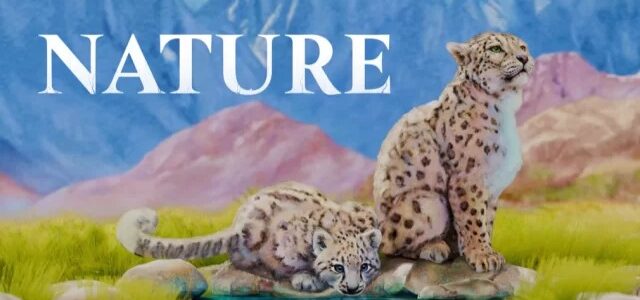 Nature Board Games hra na mobil