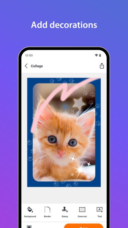 Aplikace SELPHY Photo Layout
